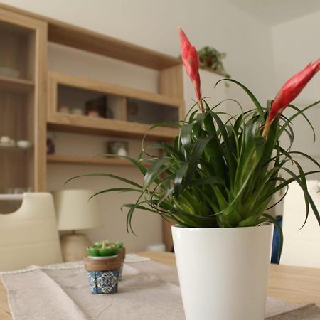Ohana: Casa Nel Centro Di Lecce Exterior foto